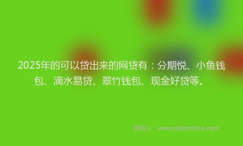 2025年的可以贷出来的网贷有：分期悦、小鱼钱包、滴水易贷、翠竹钱包、现金好贷等。