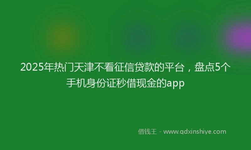 2025年热门天津不看征信贷款的平台，盘点5个手机身份证秒借现金的app