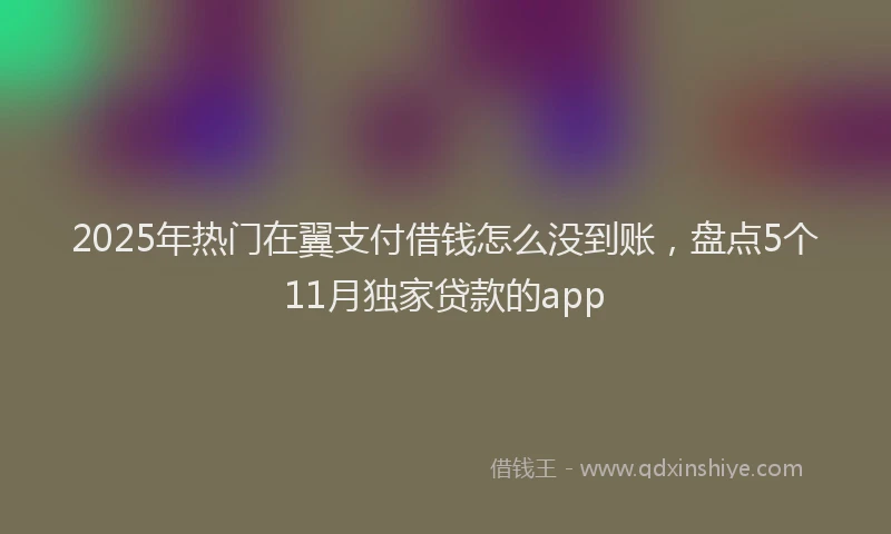 2025年热门在翼支付借钱怎么没到账，盘点5个11月独家贷款的app