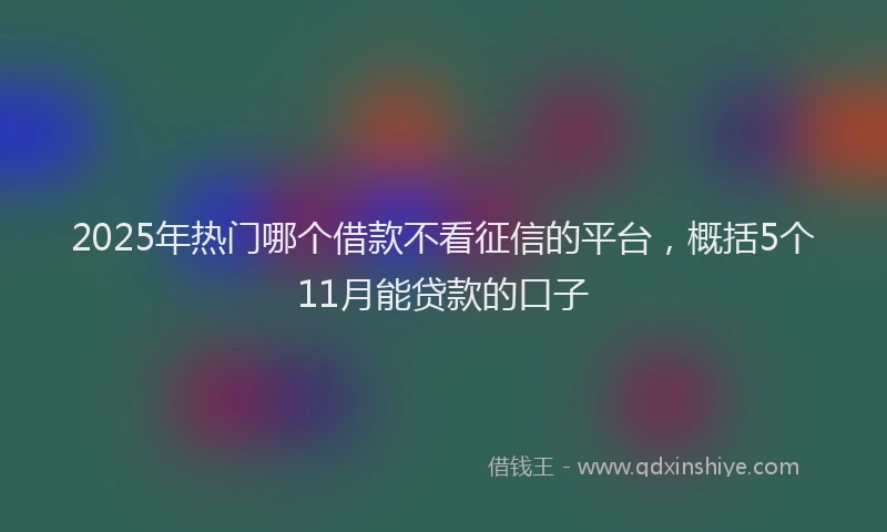 2025年热门哪个借款不看征信的平台，概括5个11月能贷款的口子