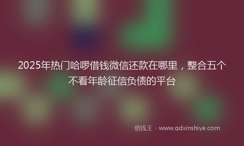 2025年热门哈啰借钱微信还款在哪里，整合五个不看年龄征信负债的平台