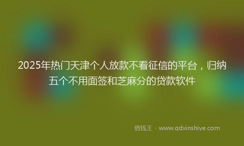 2025年热门天津个人放款不看征信的平台，归纳五个不用面签和芝麻分的贷款软件