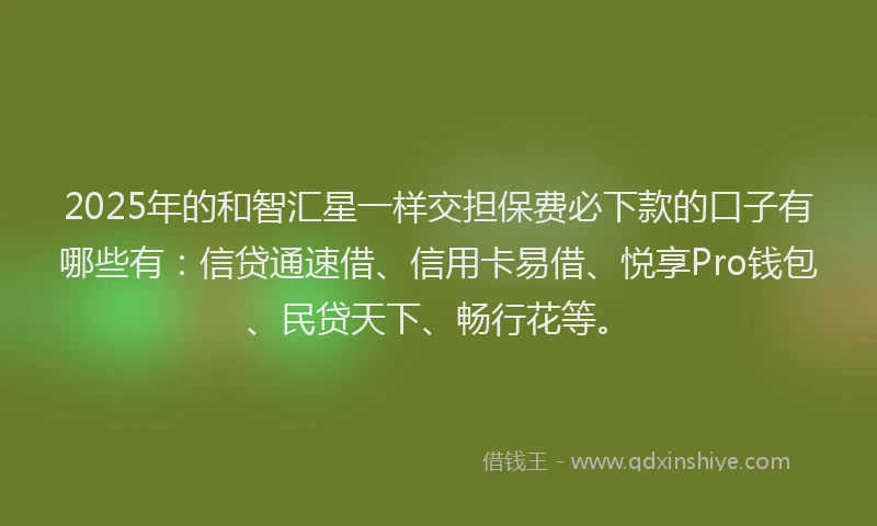 2025年的和智汇星一样交担保费必下款的口子有哪些有：信贷通速借、信用卡易借、悦享Pro钱包、民贷天下、畅行花等。