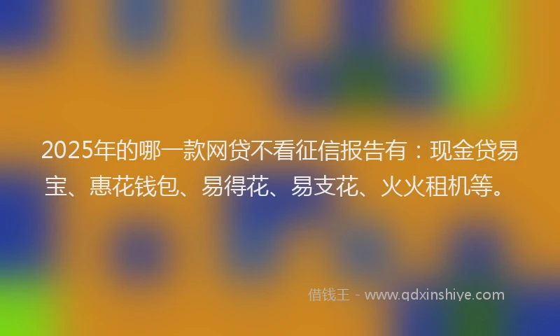 2025年的哪一款网贷不看征信报告有：现金贷易宝、惠花钱包、易得花、易支花、火火租机等。