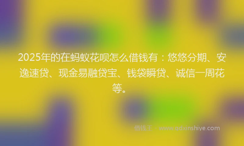2025年的在蚂蚁花呗怎么借钱有：悠悠分期、安逸速贷、现金易融贷宝、钱袋瞬贷、诚信一周花等。