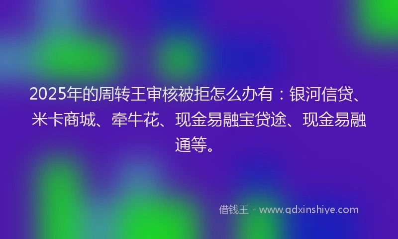 2025年的周转王审核被拒怎么办有：银河信贷、米卡商城、牵牛花、现金易融宝贷途、现金易融通等。