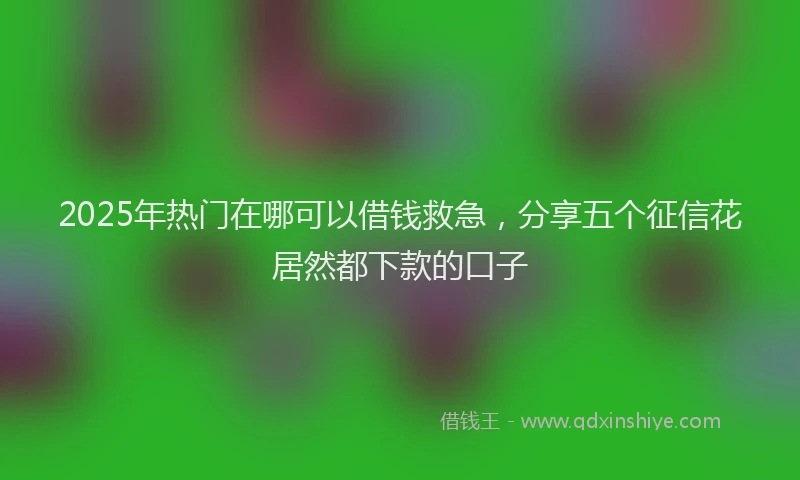 2025年热门在哪可以借钱救急，分享五个征信花居然都下款的口子