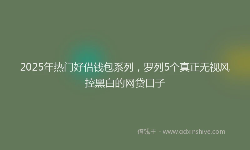 2025年热门好借钱包系列，罗列5个真正无视风控黑白的网贷口子