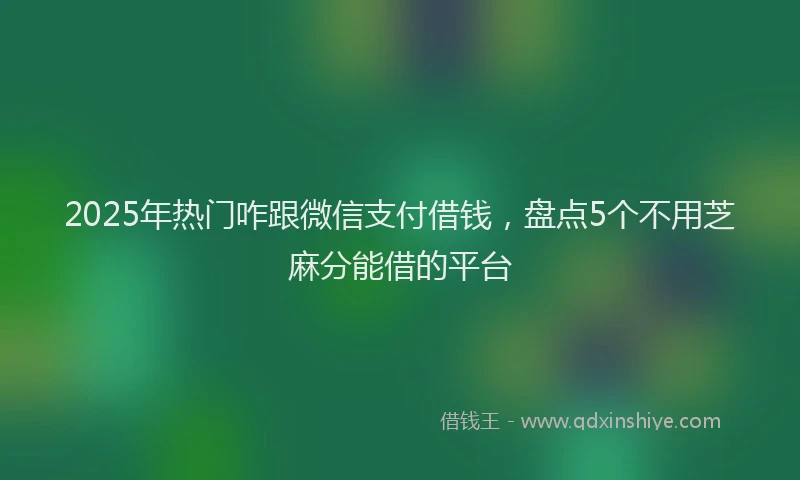 2025年热门咋跟微信支付借钱，盘点5个不用芝麻分能借的平台