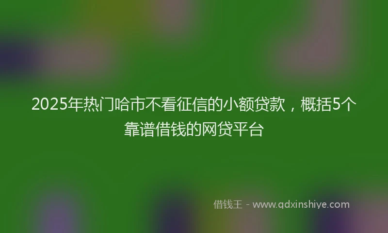 2025年热门哈市不看征信的小额贷款，概括5个靠谱借钱的网贷平台