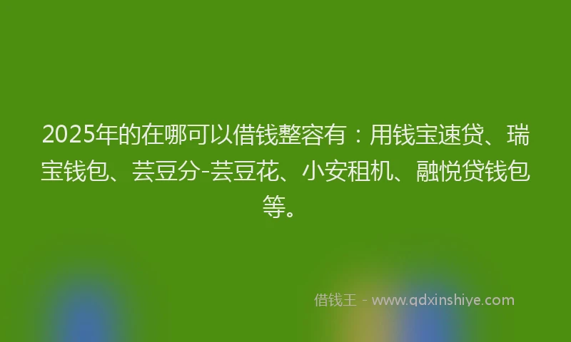 2025年的在哪可以借钱整容有：用钱宝速贷、瑞宝钱包、芸豆分-芸豆花、小安租机、融悦贷钱包等。