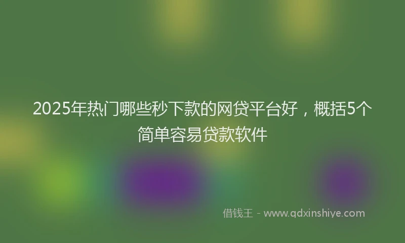 2025年热门哪些秒下款的网贷平台好，概括5个简单容易贷款软件