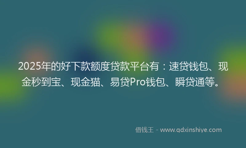 2025年的好下款额度贷款平台有：速贷钱包、现金秒到宝、现金猫、易贷Pro钱包、瞬贷通等。