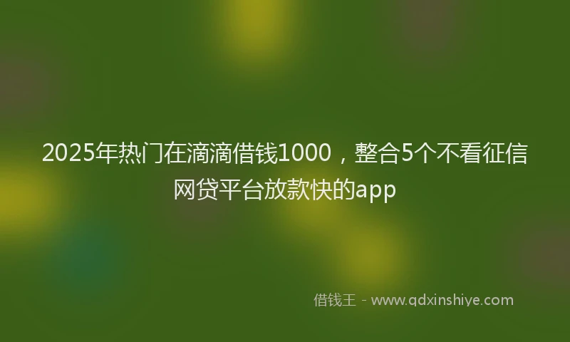 2025年热门在滴滴借钱1000，整合5个不看征信网贷平台放款快的app