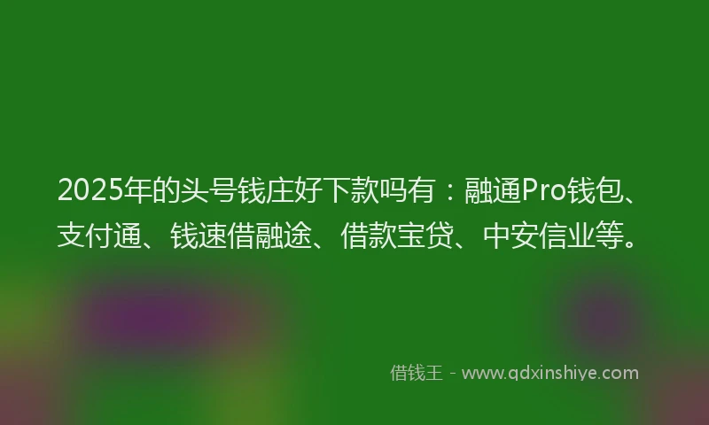 2025年的头号钱庄好下款吗有：融通Pro钱包、支付通、钱速借融途、借款宝贷、中安信业等。