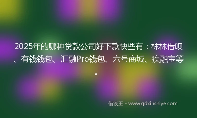 2025年的哪种贷款公司好下款快些有：林林借呗、有钱钱包、汇融Pro钱包、六号商城、疾融宝等。