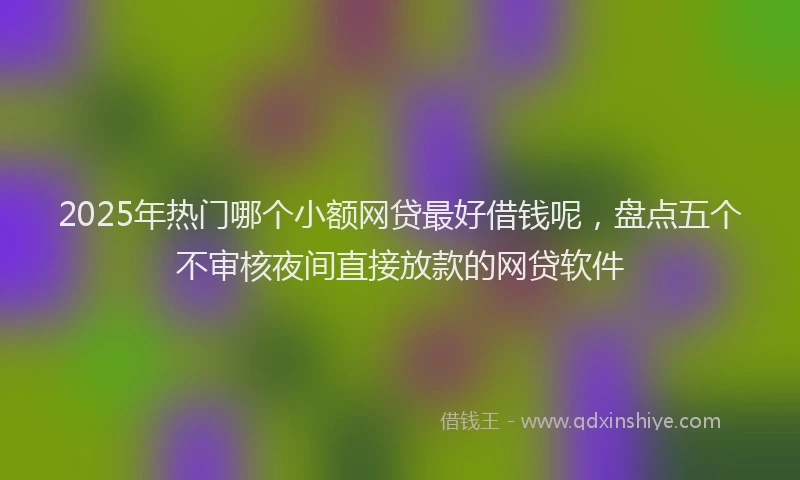 2025年热门哪个小额网贷最好借钱呢，盘点五个不审核夜间直接放款的网贷软件