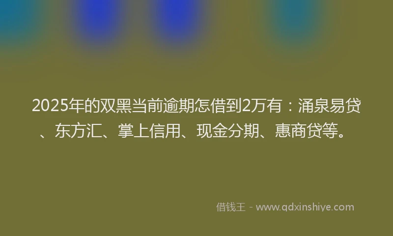 2025年的双黑当前逾期怎借到2万有：涌泉易贷、东方汇、掌上信用、现金分期、惠商贷等。