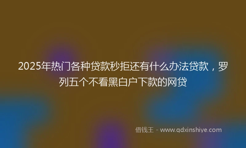 2025年热门各种贷款秒拒还有什么办法贷款，罗列五个不看黑白户下款的网贷