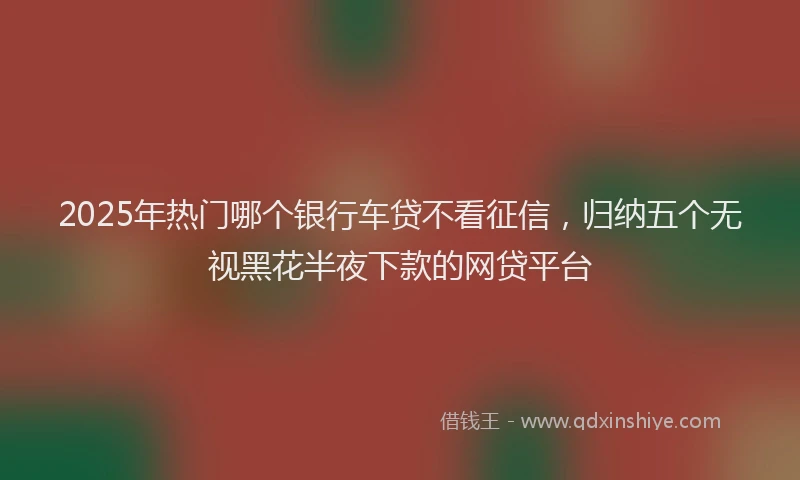 2025年热门哪个银行车贷不看征信，归纳五个无视黑花半夜下款的网贷平台