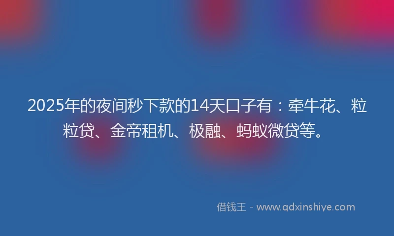 2025年的夜间秒下款的14天口子有：牵牛花、粒粒贷、金帝租机、极融、蚂蚁微贷等。