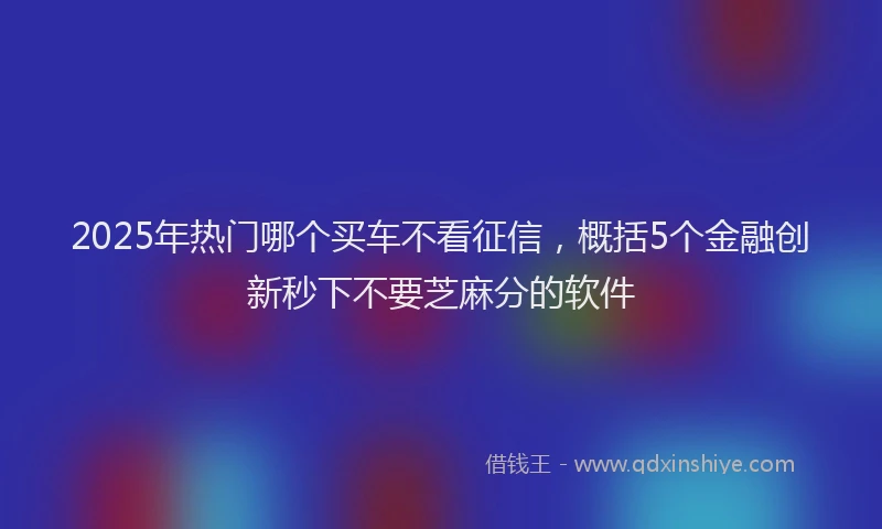 2025年热门哪个买车不看征信，概括5个金融创新秒下不要芝麻分的软件