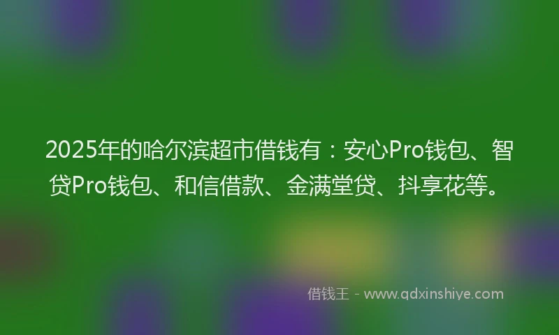 2025年的哈尔滨超市借钱有：安心Pro钱包、智贷Pro钱包、和信借款、金满堂贷、抖享花等。