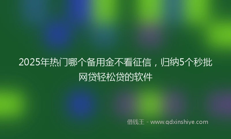 2025年热门哪个备用金不看征信，归纳5个秒批网贷轻松贷的软件