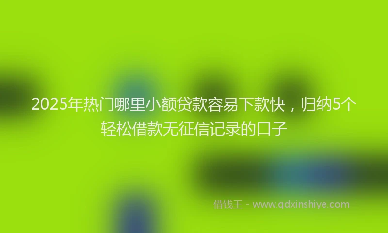 2025年热门哪里小额贷款容易下款快，归纳5个轻松借款无征信记录的口子