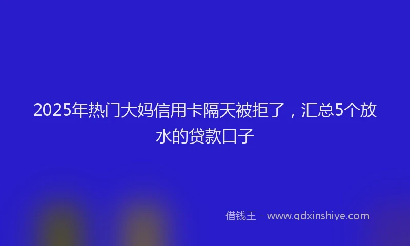 2025年热门大妈信用卡隔天被拒了，汇总5个放水的贷款口子
