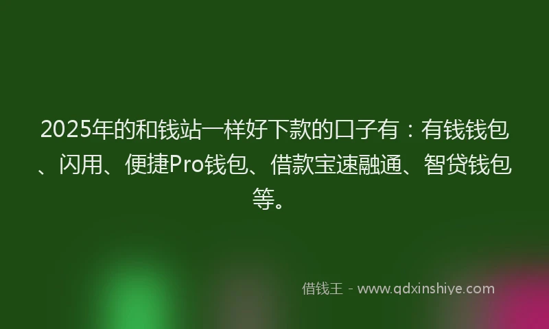 2025年的和钱站一样好下款的口子有：有钱钱包、闪用、便捷Pro钱包、借款宝速融通、智贷钱包等。
