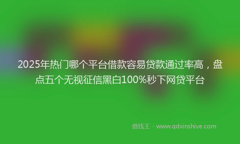2025年热门哪个平台借款容易贷款通过率高，盘点五个无视征信黑白100%秒下网贷平台