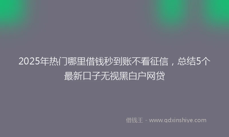 2025年热门哪里借钱秒到账不看征信，总结5个最新口子无视黑白户网贷