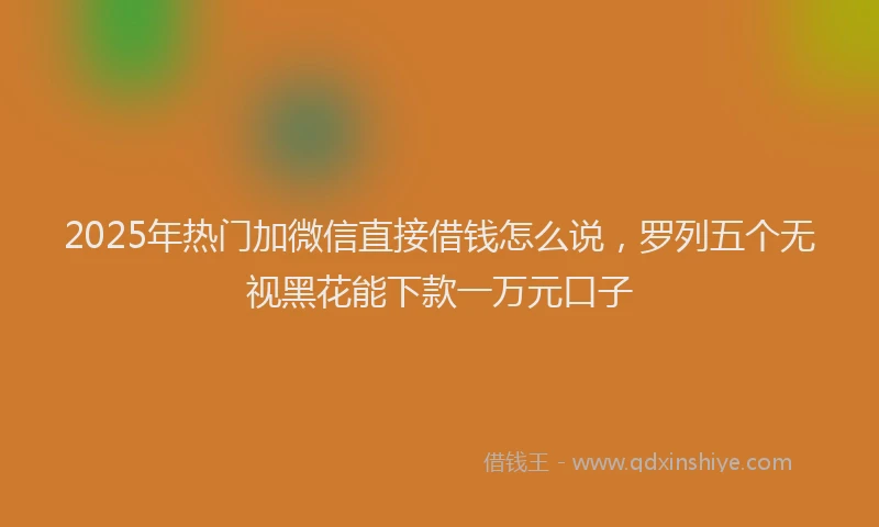 2025年热门加微信直接借钱怎么说，罗列五个无视黑花能下款一万元口子