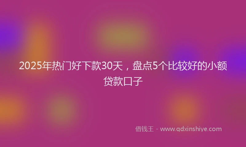 2025年热门好下款30天，盘点5个比较好的小额贷款口子