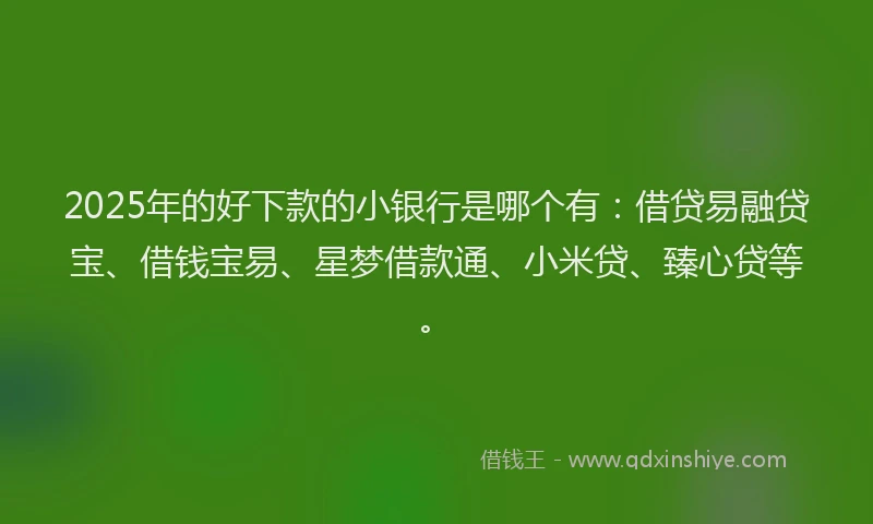 2025年的好下款的小银行是哪个有：借贷易融贷宝、借钱宝易、星梦借款通、小米贷、臻心贷等。