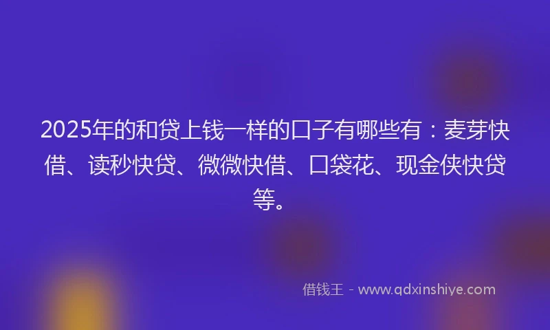 2025年的和贷上钱一样的口子有哪些有：麦芽快借、读秒快贷、微微快借、口袋花、现金侠快贷等。