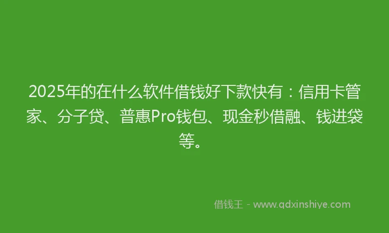 2025年的在什么软件借钱好下款快有：信用卡管家、分子贷、普惠Pro钱包、现金秒借融、钱进袋等。