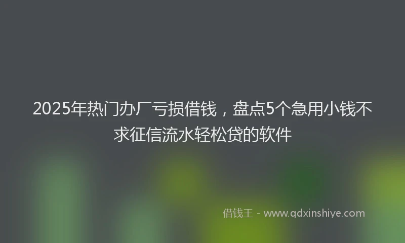 2025年热门办厂亏损借钱，盘点5个急用小钱不求征信流水轻松贷的软件