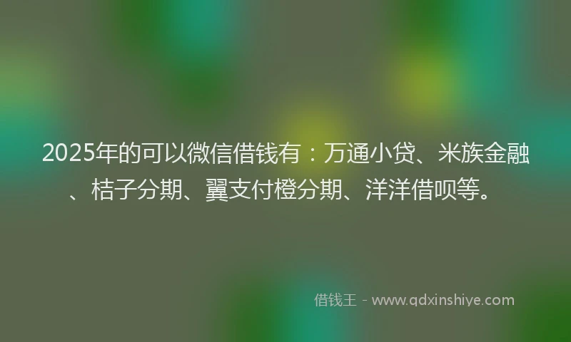 2025年的可以微信借钱有：万通小贷、米族金融、桔子分期、翼支付橙分期、洋洋借呗等。