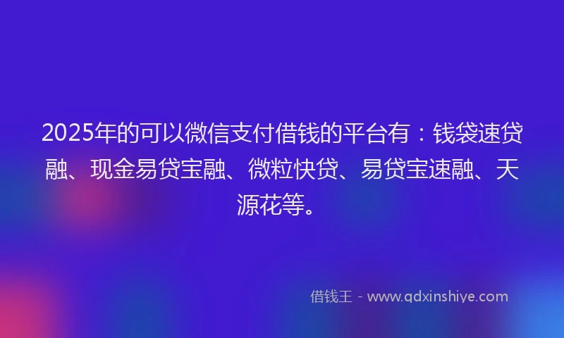 2025年的可以微信支付借钱的平台有：钱袋速贷融、现金易贷宝融、微粒快贷、易贷宝速融、天源花等。