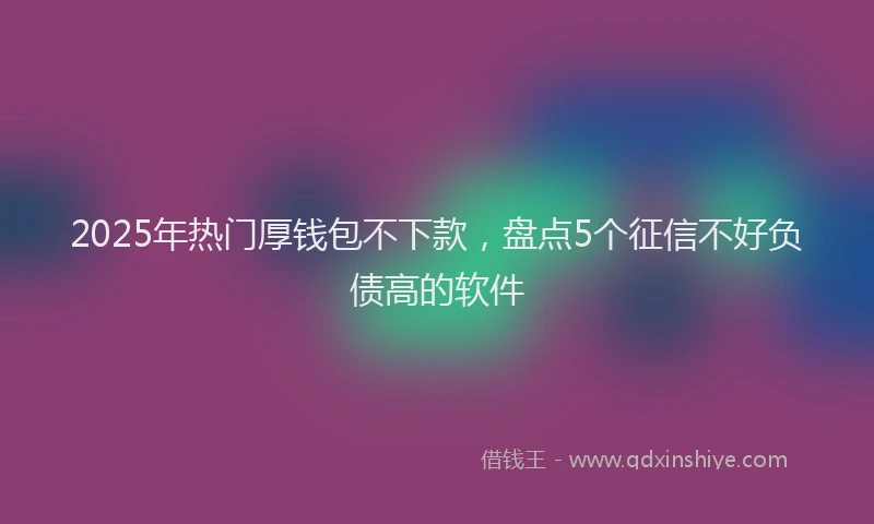 2025年热门厚钱包不下款，盘点5个征信不好负债高的软件