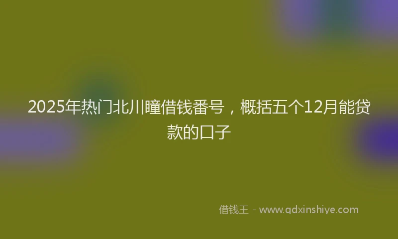 2025年热门北川瞳借钱番号，概括五个12月能贷款的口子