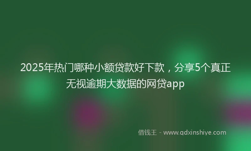 2025年热门哪种小额贷款好下款，分享5个真正无视逾期大数据的网贷app