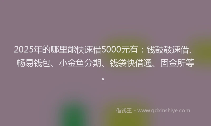 2025年的哪里能快速借5000元有：钱鼓鼓速借、畅易钱包、小金鱼分期、钱袋快借通、固金所等。