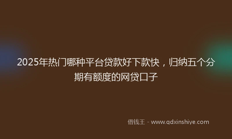 2025年热门哪种平台贷款好下款快，归纳五个分期有额度的网贷口子