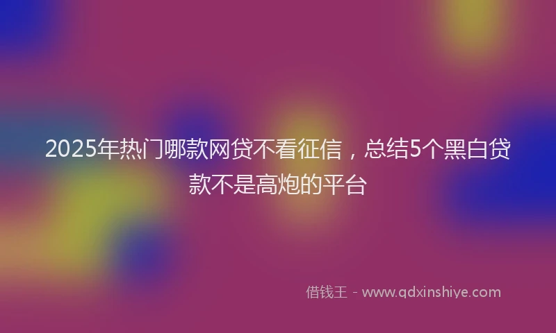 2025年热门哪款网贷不看征信，总结5个黑白贷款不是高炮的平台