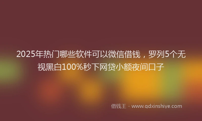 2025年热门哪些软件可以微信借钱，罗列5个无视黑白100%秒下网贷小额夜间口子