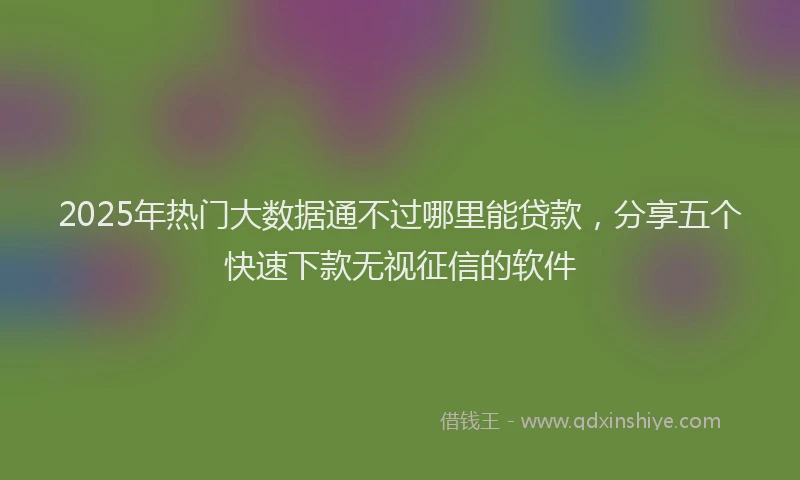 2025年热门大数据通不过哪里能贷款，分享五个快速下款无视征信的软件