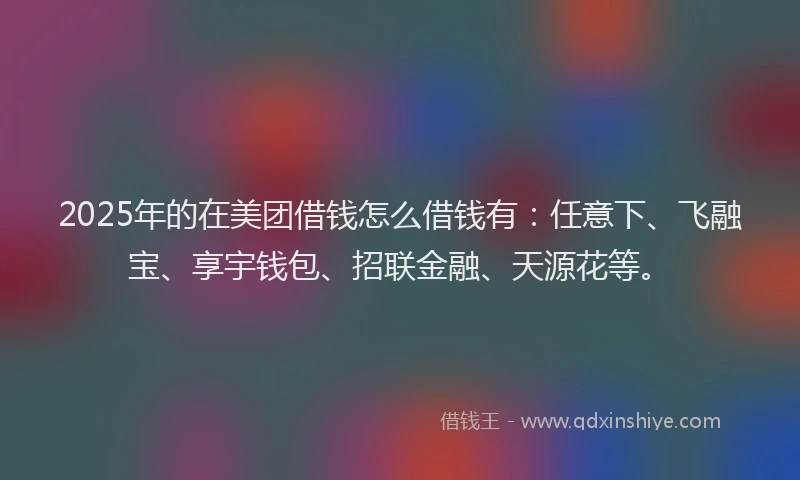 2025年的在美团借钱怎么借钱有：任意下、飞融宝、享宇钱包、招联金融、天源花等。